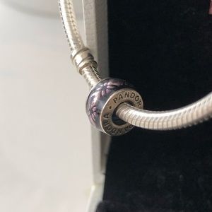 Pandora discontinued charm